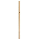 (Common: 1-in x 6-in x 8-ft; Actual: 0.75-in x 5.5-in x 8-ft) Pine Board
