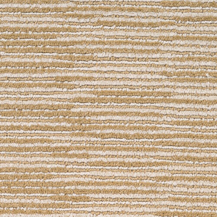 STAINMASTER PetProtect Plantation Cove Canvas Pattern Carpet Sample (Interior)