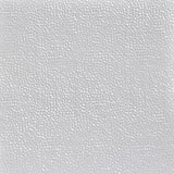 From Plain to Beautiful in Hours 2-ft x 2-ft Pounded White Steel Surface-mount Ceiling Tile (6-Pack, 24-sq ft / Case)