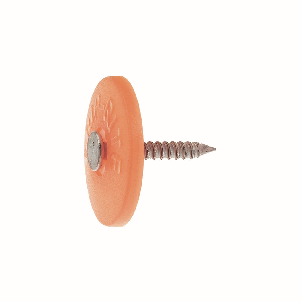 Grip-Rite No. 12 1 in. Cap Bright Steel Nail, Full Round Head, 1 lb