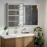 WELLFOR DH 23-in x 30-in Surface/Recessed Mount Satin Aluminum Mirrored Soft Close Medicine Cabinet