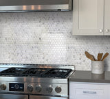 Apollo Tile White 11-in x 12-in Polished Natural Stone Marble Penny Round Marble Look Floor and Wall Tile (4.83-sq. ft/ Carton)
