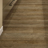 Congoleum Airstep Evolution - Forest Deer Path Sheet Vinyl Sample (Cut-to-Length)