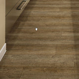 Congoleum Airstep Evolution Forest Campfire Ash Sheet Vinyl (Cut-to-Length) Sample