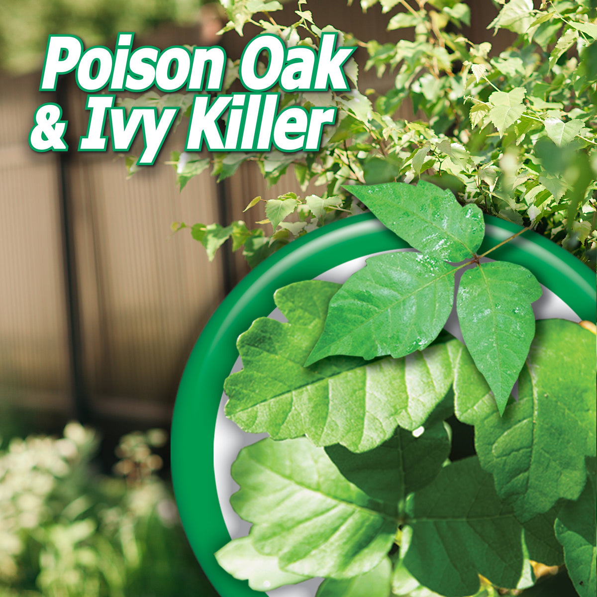 Bonide Poison Ivy & Oak Killer RTU Liquid, 32 oz (Quart)