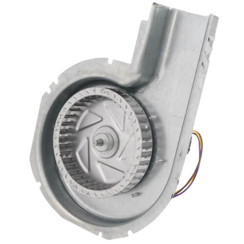 Carrier 50DK406815 motor - detail view (Product Type: Motor)