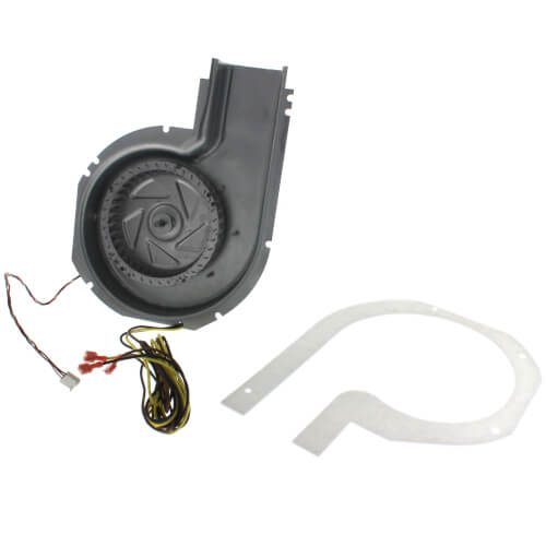 Carrier 50DK406816 inducer motor - detail view (Voltage: 460v; Product Type: Inducer Motor)