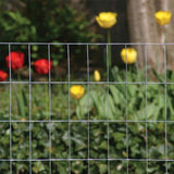 Everbilt 3 ft. x 50 ft. 14-Gauge Galvanized Steel Welded Wire