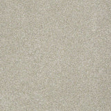STAINMASTER PetProtect Baxter III Marmaduke Textured Carpet (Indoor)