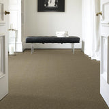 STAINMASTER PetProtect Baxter IV Dachshund Textured Carpet (Indoor)