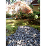 Butler Arts 0.50 cu. ft. 1 in. - 2 in. 40 lb. Unpolished Black Mexican Beach Pebble Bag (20-Pack Pallet) - Super Arbor