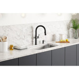 Rune Single-Handle Pull-Down Sprayer Kitchen Faucet in Matte Black - Super Arbor