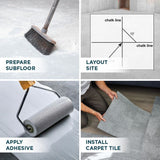 Shaw One Up 24-in x 24-in Newsfeed Multi-level Loop Full Spread Adhesive Carpet Tile (79.99-sq ft)