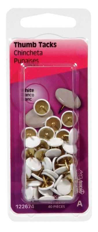 Hillman 0.375 in. Length White Steel Thumb Tacks, 40-Pack