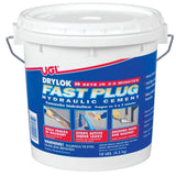 DRYLOK Fast Plug 10 lb. Hydraulic Cement - Super Arbor