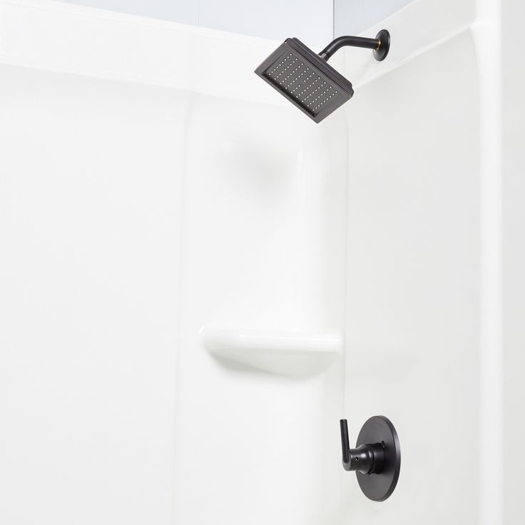 Delta Trinsic Matte Black 1-Handle Shower Faucet