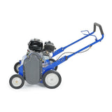 BLUEBIRD 22 in. 5.5 HP Gas Powered Power Rake-Dethatcher with Honda GX160 Engine