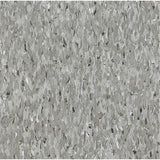 Armstrong Flooring Imperial Texture 45-Piece Field Gray Commercial VCT Tile