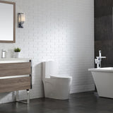 Buxton 1-Piece 1.6 GPF/1.1 GPF Dual Flush Elongated Toilet in White - Super Arbor