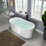 Diana 67 in. Acrylic Freestanding Double Ended Air Bath Bathtub with Drain and Overflow Included in White