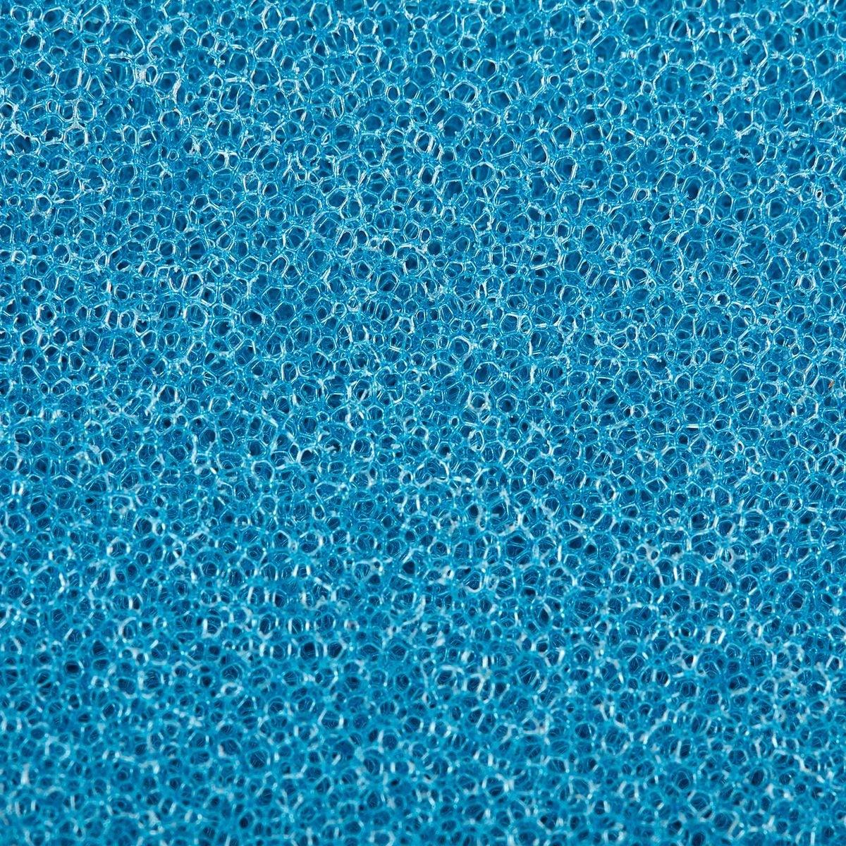 56549_W5_-572594319.jpg