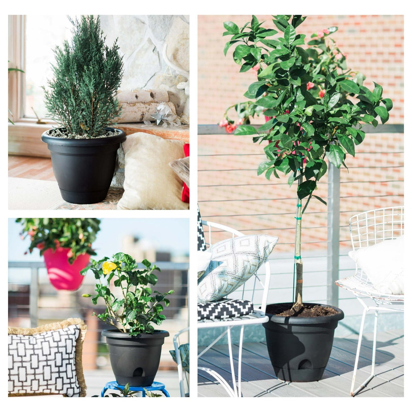 Bloem Lucca Self Watering Planter 14" Chocolate