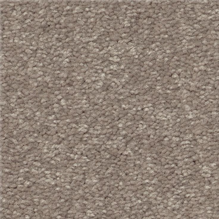 STAINMASTER Essentials Blue Diamonds I 15-ft Tree Bark Textured Carpet (Indoor)