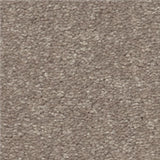 STAINMASTER Essentials Blue Diamonds I 15-ft Tree Bark Textured Carpet (Indoor)