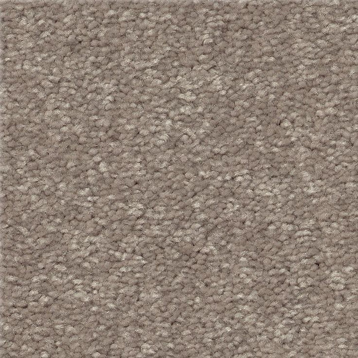 STAINMASTER Essentials Blue Diamonds I 15-ft Tree Bark Textured Carpet (Indoor)