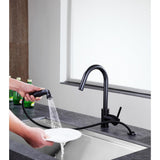 Farnese Single-Handle Standard Kitchen Faucet with Side Sprayer in Oil Rubbed Bronze - Super Arbor