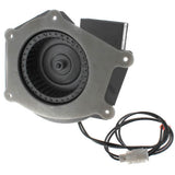 Lennox 56W68 inducer motor - detail view (Voltage: 120v; Horse Power: 1/10)