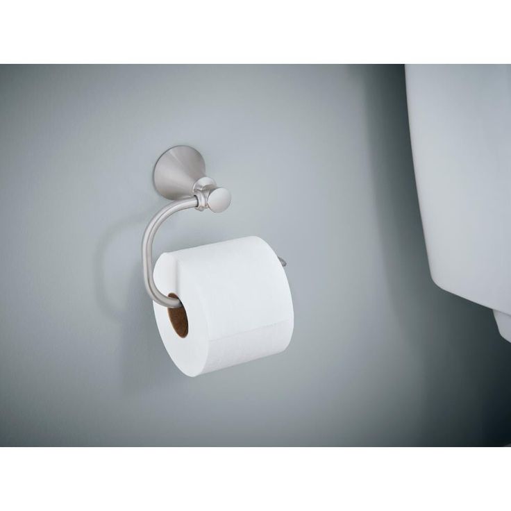 Delta Valdosta Satin Nickel Surface Mount Single Post Toilet Paper Holder