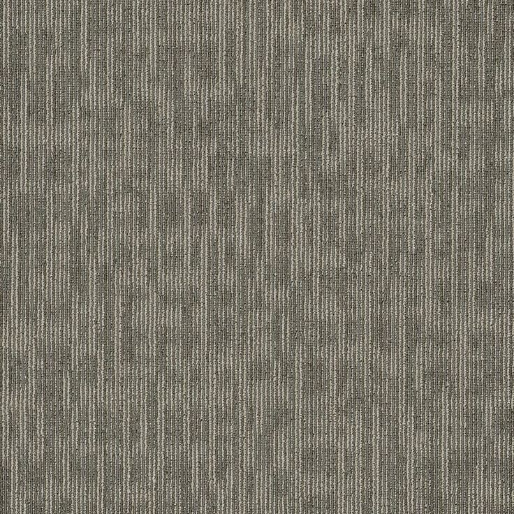 Shaw Whiz Kid 24-in x 24-in Masterful Multi-level Loop Full Spread Adhesive Carpet Tile (48-sq ft)