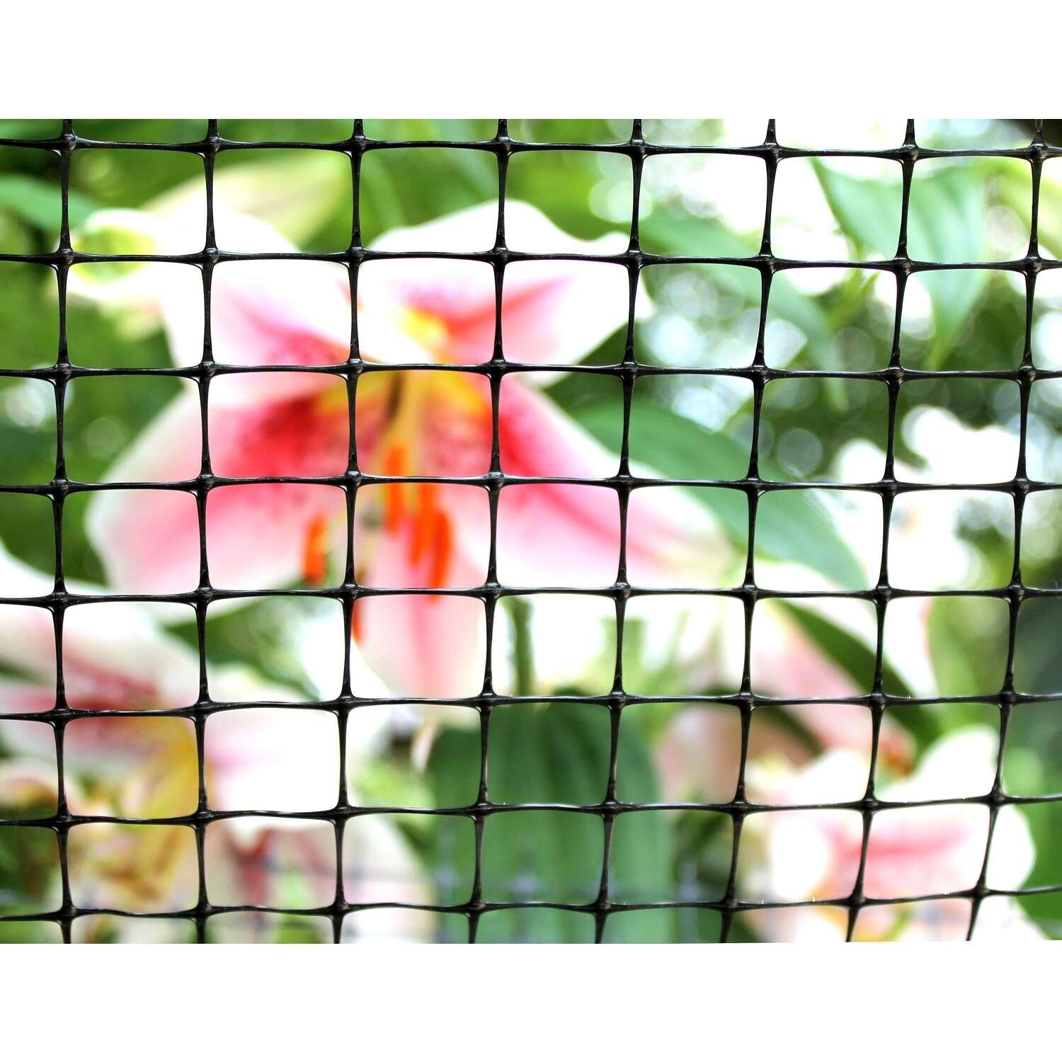 58c6188b-6a06-46cb-8230-34b2fbf3bc93_quality=60&_mzcb=_1649148331752_-435883160