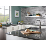Edgewater Single-Handle Pull-Down Sprayer Kitchen Faucet with SelctFlo in Stainless Steel - Super Arbor