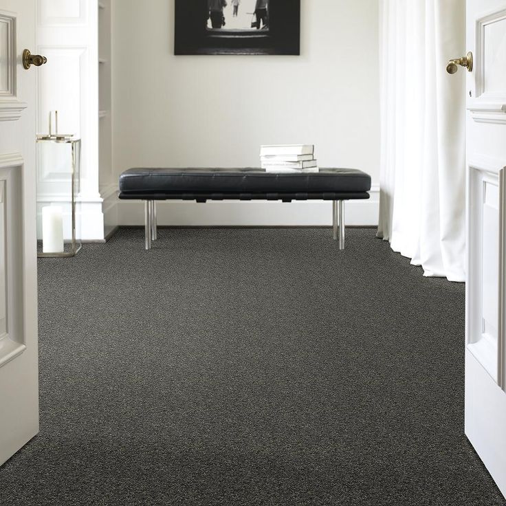 STAINMASTER PetProtect Baxter I Charlie Textured Carpet (Indoor)