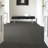 STAINMASTER PetProtect Baxter I Charlie Textured Carpet (Indoor)