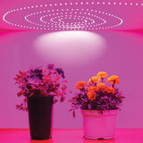 GrowFlex 8.2ft 16W Amber Purple Grow Light - Super Arbor