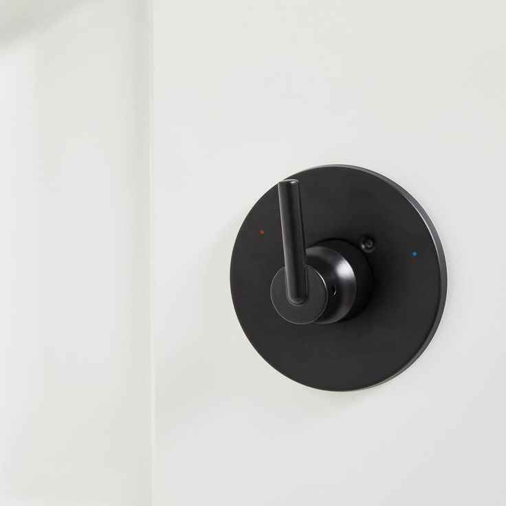 Delta Trinsic Matte Black 1-Handle Shower Faucet