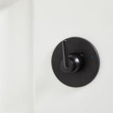 Delta Trinsic Matte Black 1-Handle Shower Faucet