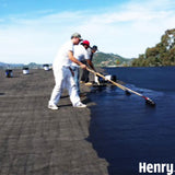 4.75 Gal. Asphalt Emulsion Sealer and Dampproofer Roof Coating - Super Arbor