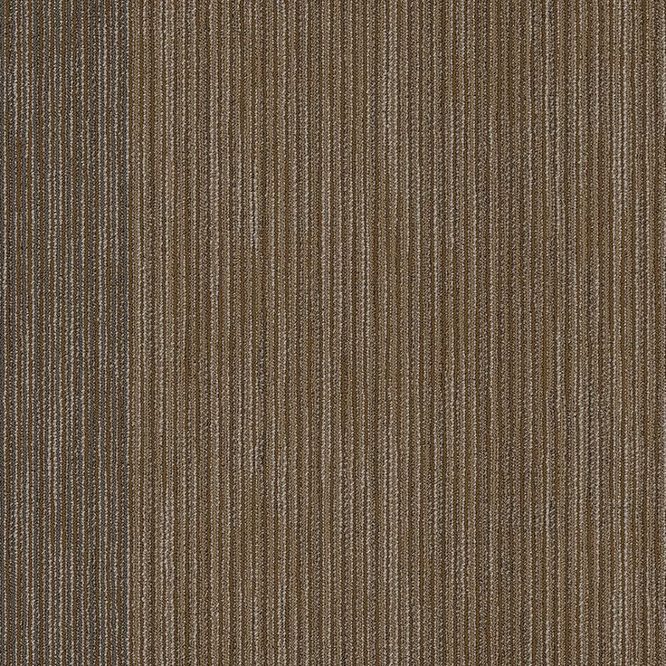 Shaw All Business 24-in x 24-in Front-page Textured Full Spread Adhesive Carpet Tile (79.99-sq ft)