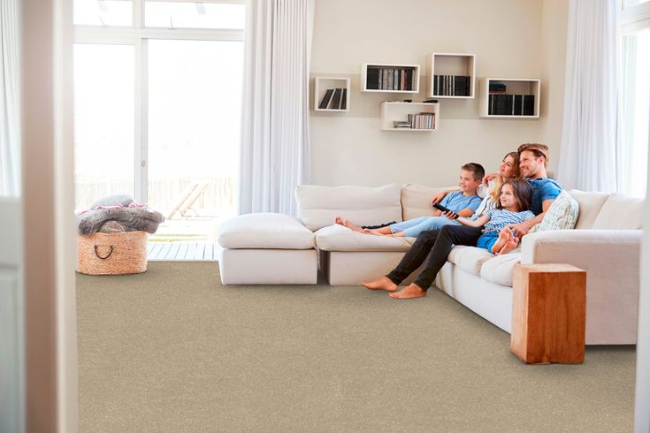 STAINMASTER Essentials Blue Diamonds III 12-ft Raw Lumber Textured Carpet (Indoor)