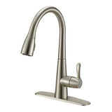 EZ-FLO Tuscany Brushed Nickel 1-Handle Deck-Mount Pull-Down Handle Kitchen Faucet (Deck Plate Included)