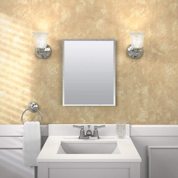 Glacier Bay 16 in. W x 20 in. H Rectangular Plastic Medicine Cabinet with Mirror