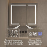 WELLFOR EX4 36-in x 30-in Lighted LED Fog Free Surface Mount Silver Mirrored Soft Close Medicine Cabinet with Outlet