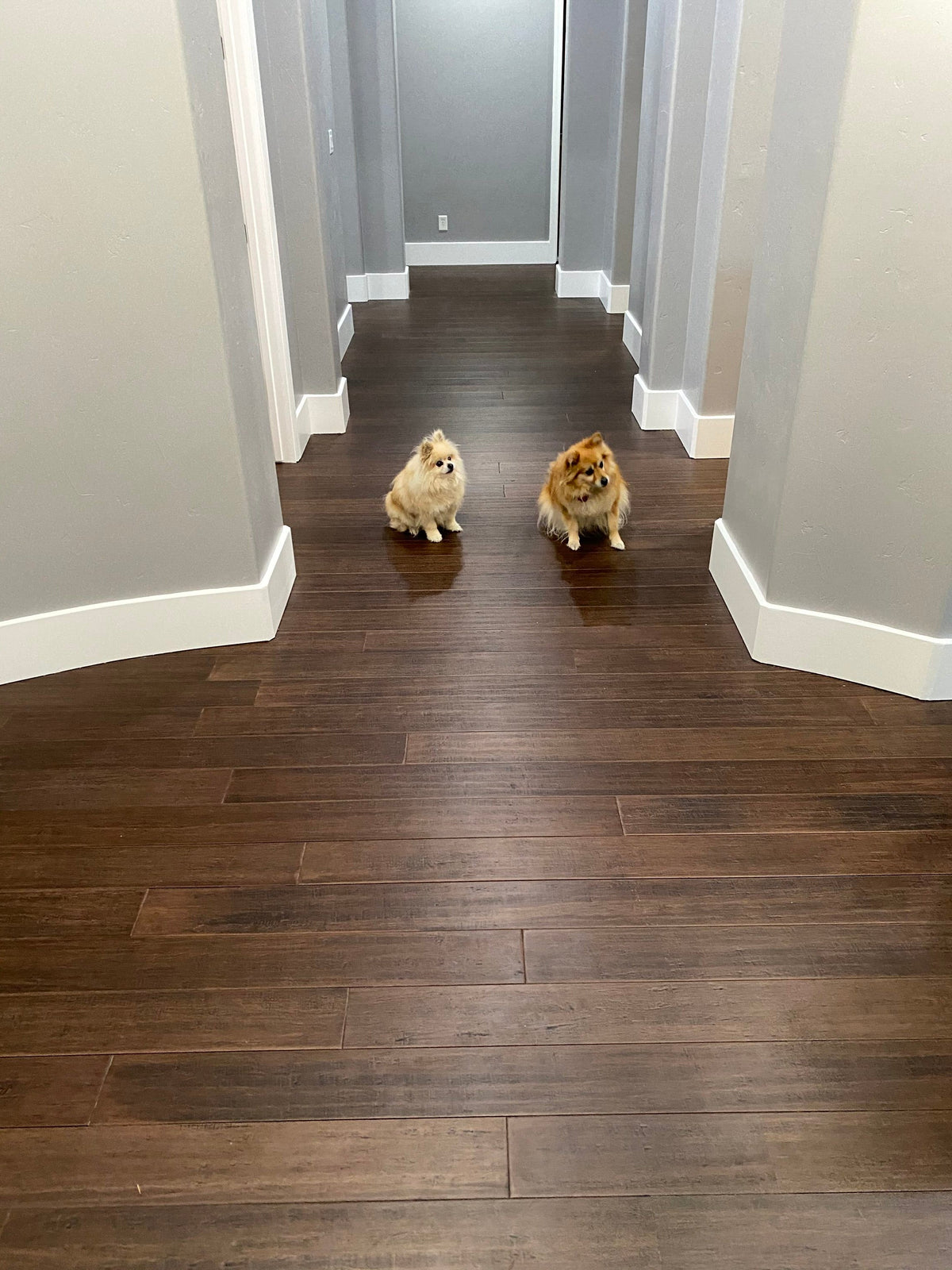 Cali Bamboo Eco-Engineered Prefinished Vintage Port Handscraped Bamboo Engineered Hardwood Flooring Sample