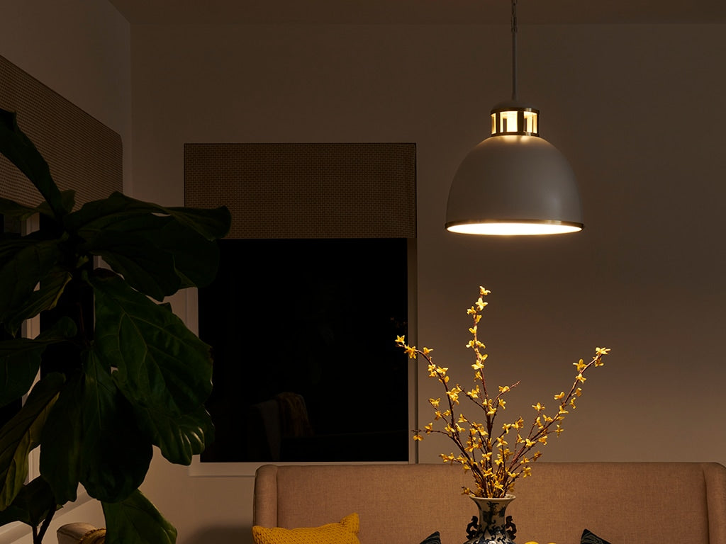 Kichler Sansara 3-Light Champagne Gold Coastal Dome Medium Hanging Pendant Light