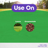 Bonide DuraTurf Crabgrass & Weed Preventer Lawn Fertilizer for Annual Ryegrass, Treats up to 5,000 sq. ft.