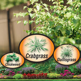 Bonide DuraTurf Crabgrass & Weed Preventer Lawn Fertilizer for Annual Ryegrass, Treats up to 5,000 sq. ft.